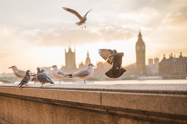 Recipients of London mayor’s £1m Resilience Fund named