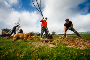 New community forest will deliver 500 hectares of woodland
