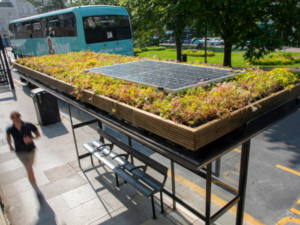 Brighton unveils first bee bus stop for South of England