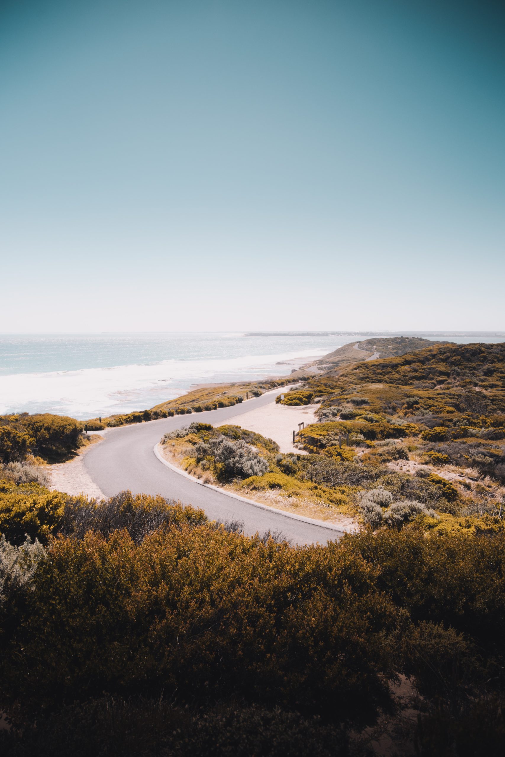 Wildflower meadow transforms derelict land in Portsmouth