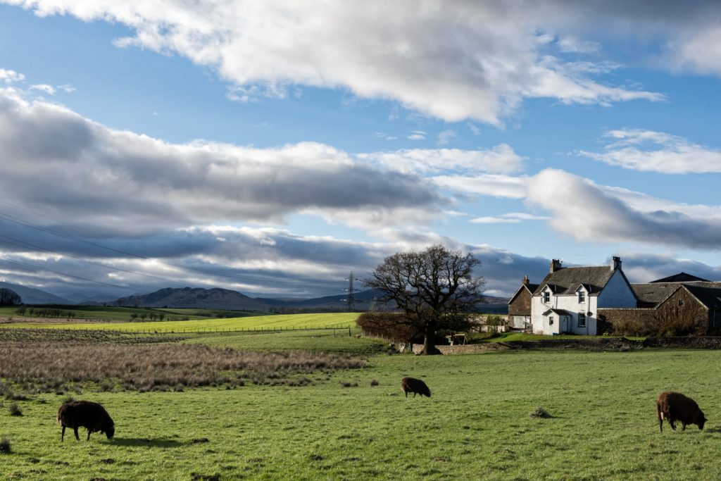 Rural areas in UK to enjoy mobile connectivity boost