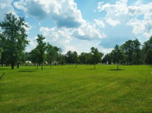 New major investment in London green spaces announced