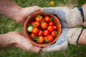 Swansea groups to receive food poverty grants