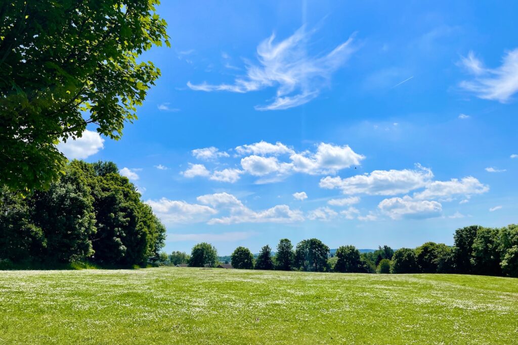 Plans quashed by Supreme Court for 15 new homes in Shropshire