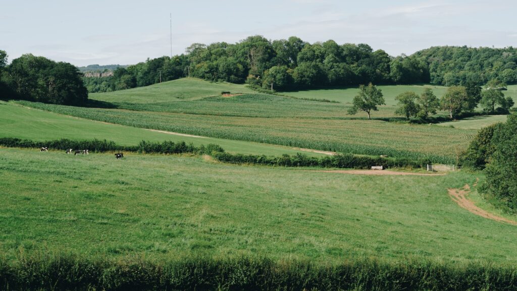 50 ‘poorly integrated’ homes could damage a Somerset village, council says