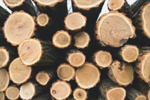 Timber roadmap launched to reduce emissions and boost UK construction
